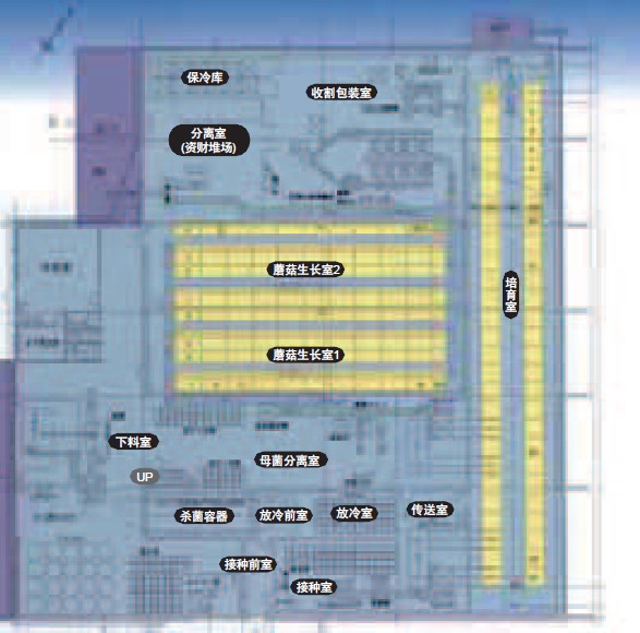 食用菌冷庫設(shè)計(jì)圖